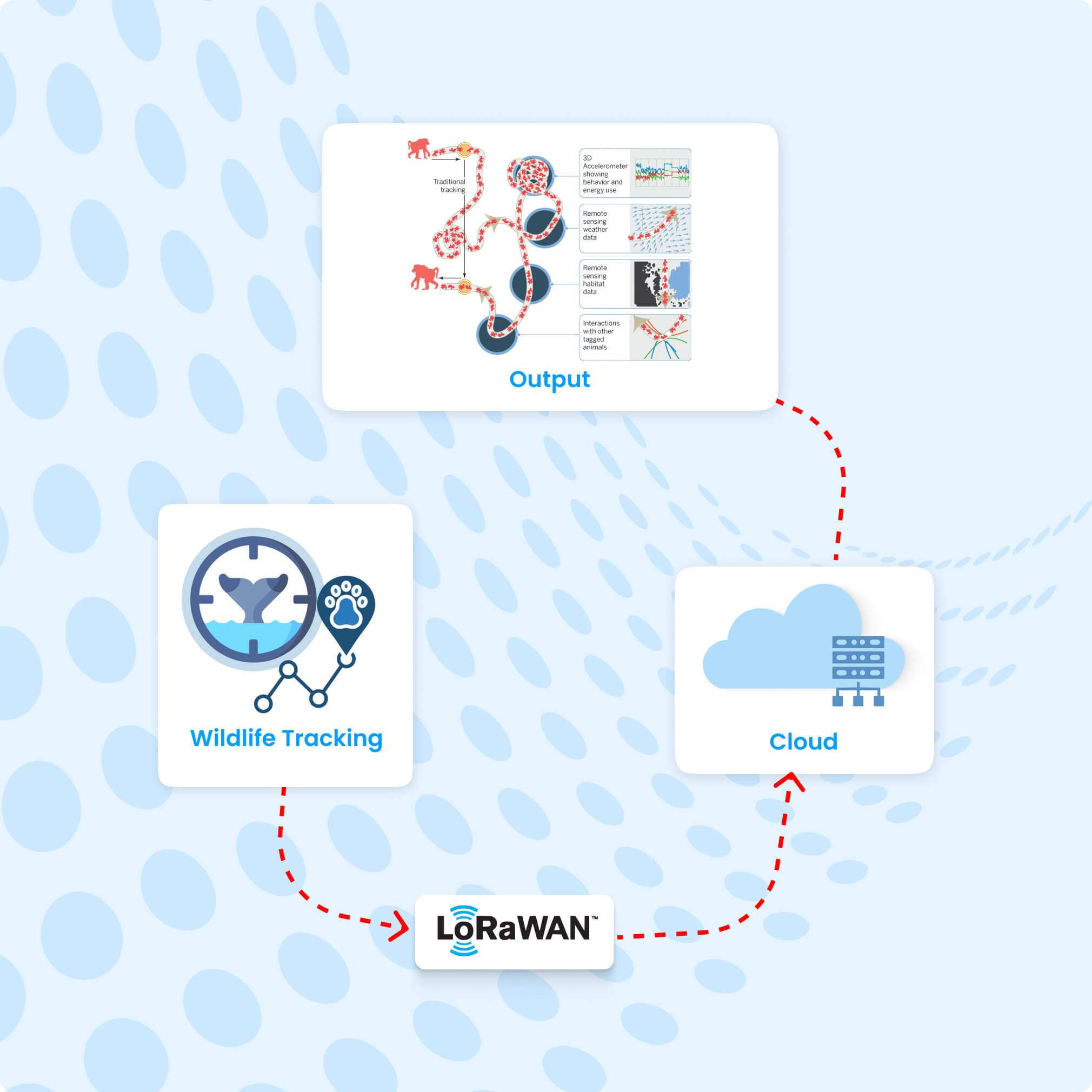 Wildlife Tracking with LoRaWAN